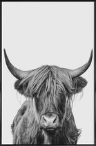 JUNIQE - Poster met kunststof lijst Highland Cow Classic -13x18 /Wit &