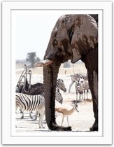 Foto in frame , Afrikaanse Olifant, 3 maten , multikleur, wanddecoratie , Premium print