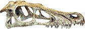 Komodo raptor schedel - 11,5x25x9,5 cm l - 1 stuks