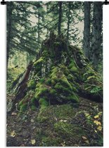 Wandkleed Bemoste bomen - Stam van een boom bedekt met mos Wandkleed katoen 90x135 cm - Wandtapijt met foto