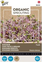 Buzzy Bio Sprouting Koolrabi blauwpaars kiemgroenten (BIO) 20 gram