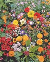 MRS Japans Bloemengazon - 250 gram