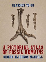 Classics To Go - A Pictorial Atlas of Fossil Remains