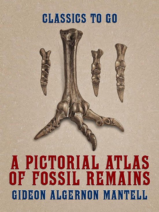 Classics To Go - A Pictorial Atlas of Fossil Remains - cover