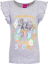 Disney Princess T-shirt - grijs - maat 116 (6 jaar)