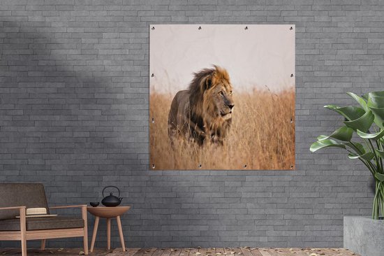 Lion regarde la lumière du soleil au Kenya affiche de jardin toile lâche