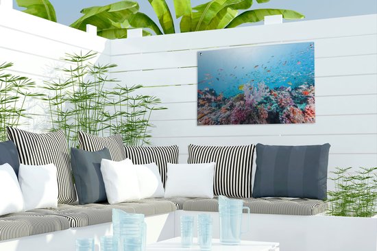 Affiche de jardin corail coloré dans un océan clair 60x40 cm - petit - Toile de jardin / Toile d'extérieur / Peintures pour l'extérieur (décoration de jardin)