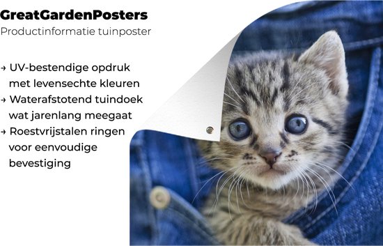 Tuinposter 30x40 cm - Tuindecoratie Een kitten in een denim jeans - Poster voor in de tuin - Buiten decoratie - Schutting tuinschilderij - Tuindoek muurdecoratie - Wanddecoratie balkondoek