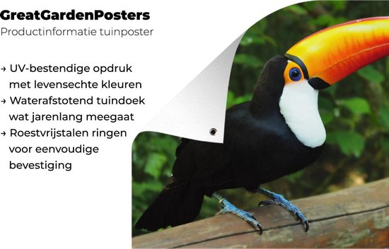 Un toucan assis sur un tronc d'arbre Affiche de jardin 120x80 cm - Toile de jardin / Toile d'extérieur / Peintures d'extérieur (décoration de jardin)