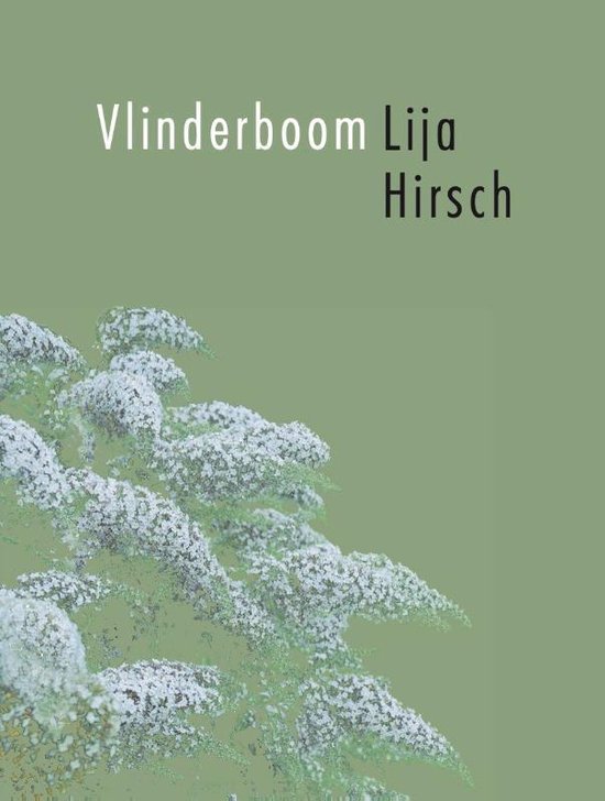 Vlinderboom