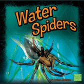 Water Spiders