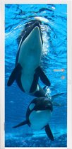 Deursticker Orka's - Twee orkas onder water - 90x235 cm - zelfklevende deurposter - bubbelvrij en herpositioneerbare deursticker