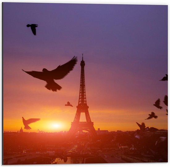 Dibond - Vliegende Groep Vogels bij de Eiffeltoren - 50x50cm Foto op Aluminium (Wanddecoratie van metaal)