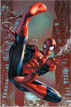 Poster - Spider-man Web Sling - 91.5 X 61 Cm - Multicolor