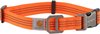 Halsband - Honden Halsband - Reflectie Halsband - Carhartt Tradesman Dog Collar M Pets Hunter Orange