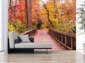 Professioneel Fotobehang bos in herfstkleuren met wandelbrug - groen - Sticky Decoration - fotobehang - decoratie - woonaccessoires - inclusief gratis hobbymesje - 355 cm breed x 240 cm hoog 