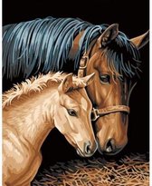 Painting Expert® Schilderen op nummer Volwassenen – Schilderen op nummer Kinderen - Paard en Veulen - 40x50cm - Op Lijst Gemonteerd (24 kleurtjes)