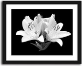 Foto in frame ,  Witte Lelies  ​, 70x100cm , Zwart wit  , Premium print