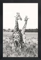 JUNIQE - Poster in houten lijst Giraffenpaar -60x90 /Grijs & Wit
