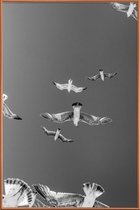 JUNIQE - Poster met kunststof lijst Soaring Birds -60x90 /Grijs & Wit