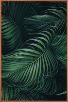 JUNIQE - Poster met kunststof lijst Feathered Palm -13x18 /Groen