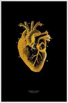 JUNIQE - Poster met kunststof lijst Human Heart gouden -13x18 /Goud &