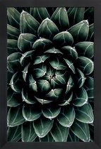 JUNIQE - Poster met houten lijst Cactus hart -13x18 /Groen