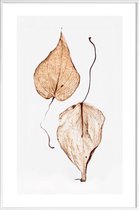 JUNIQE - Poster in kunststof lijst Delicate Leaves -20x30 /Bruin &