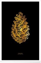 JUNIQE - Poster Pinecone gouden -20x30 /Goud & Zwart