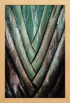 JUNIQE - Poster in houten lijst Travellers Palm -30x45 /Groen &