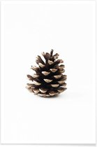 JUNIQE - Poster Pinecone N1 -20x30 /Bruin & Wit