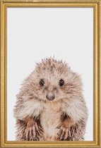 JUNIQE - Poster met houten lijst Hedgehog -40x60 /Bruin