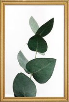 JUNIQE - Poster met houten lijst Eucalyptus 4 -20x30 /Groen
