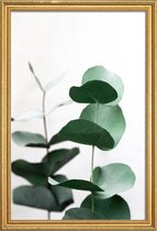 JUNIQE - Poster met houten lijst Eucalyptus 5 -60x90 /Groen & Wit