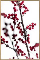 JUNIQE - Poster met kunststof lijst Red Berries 1 -30x45 /Rood & Wit