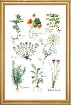JUNIQE - Poster met houten lijst Keukenkruiden -30x45 /Groen & Wit