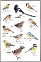 JUNIQE - Poster met kunststof lijst Vogel illustratie -13x18
