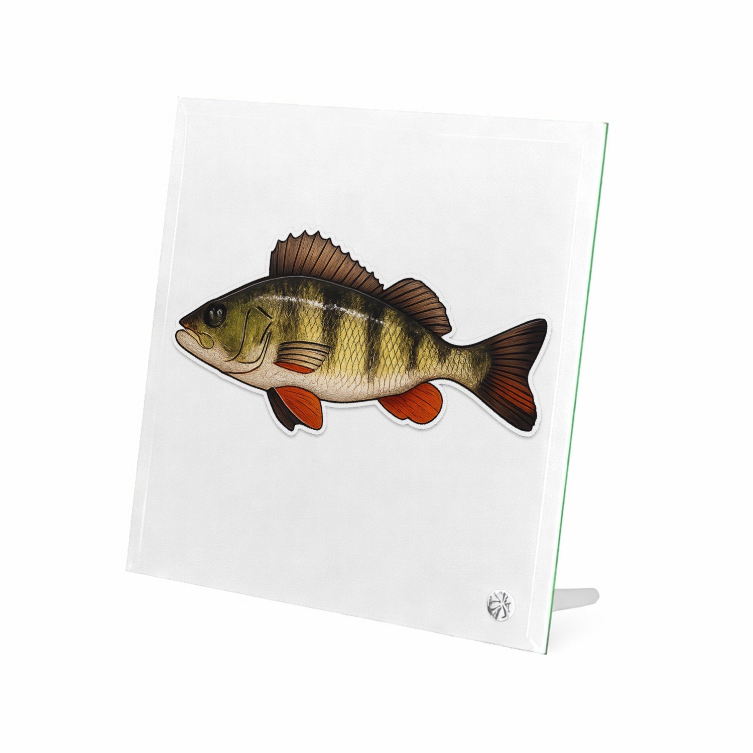 Mr Cadeautjes Glasframe 20 x 20 - design Grafische salamander op rotsrand | cadeau Wit