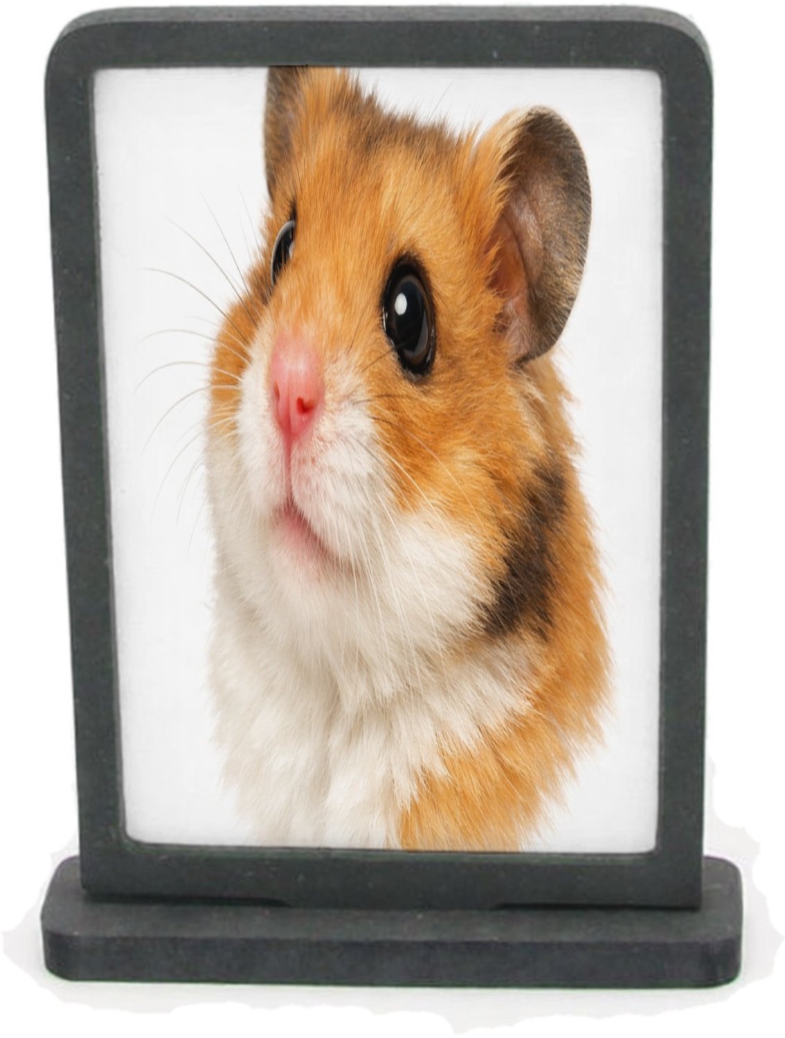 Mr Cadeautjes Houten fotolijst rechthoek met MDF inleg - design Monumentaal huisdierportret met warme close-up en diepe donk | cadeau Wit