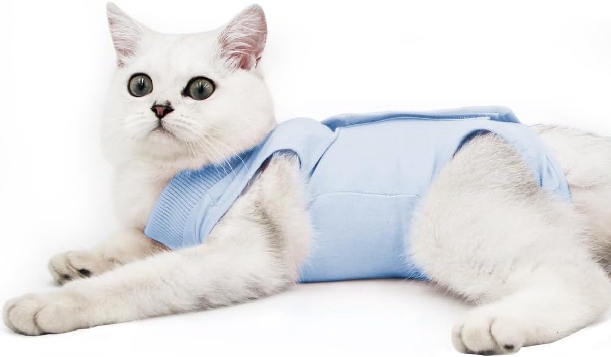 Professionele Herstelpak voor Buikwonden of Huidziekten, E-kraag Alternatief voor Katten en Honden Na Chirurgie Thuiskleding (S, Blauw)