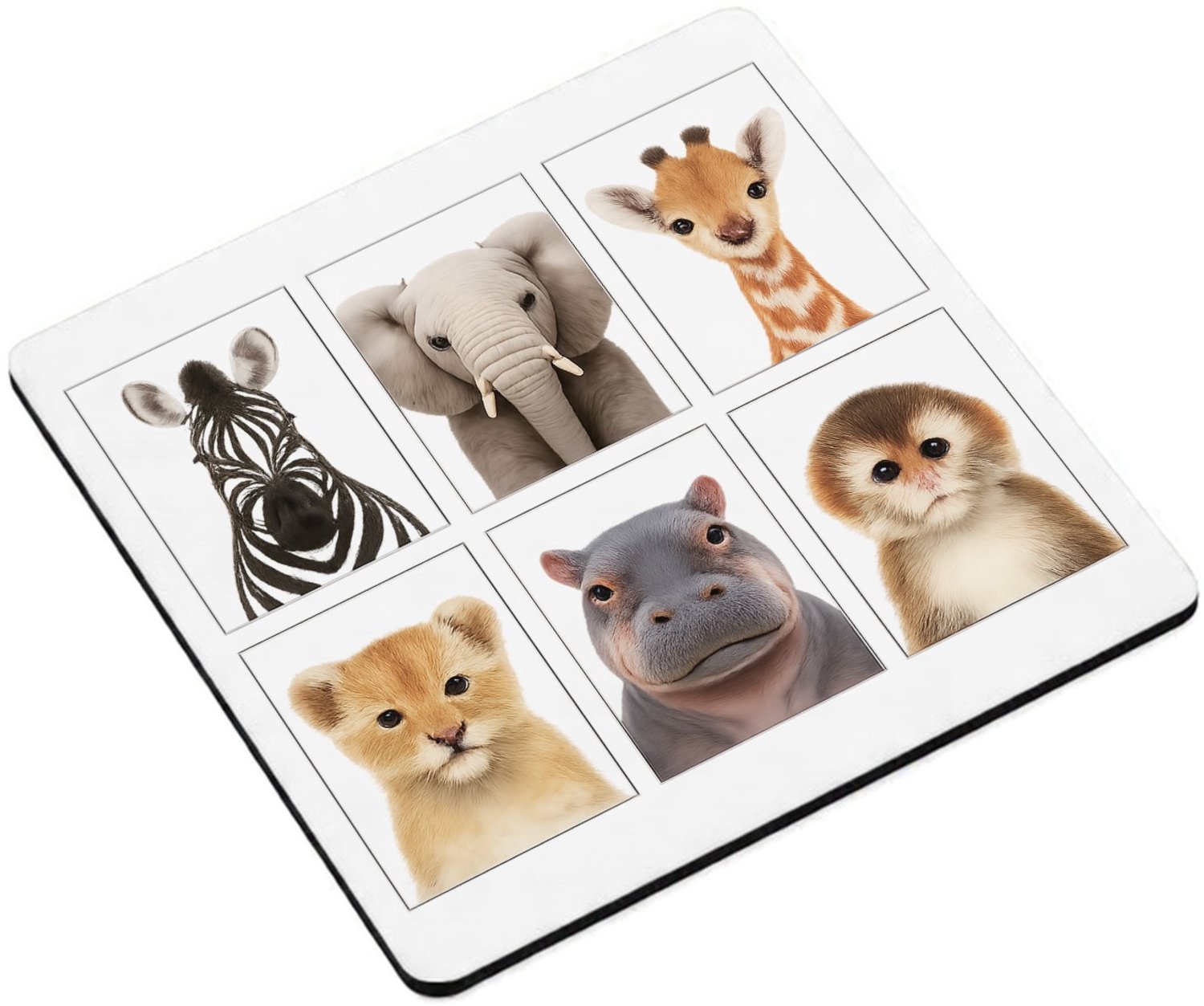 Mr Cadeautjes MDF magnetische fotolijst vierkant 9,5 - design Vier rustige dierenportretten in een strak museumgrid | cadeau Wit