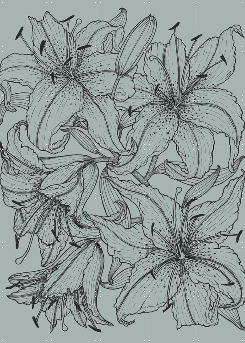 IXXI Lilies Green, Geertje Aalders - 100 x 140 cm - Gratis ophangtool - Grote wanddecoratie en posters - Line art, Illustraties, Woonkamer