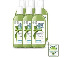 6 x Dove Powered by Plants - Oil Body Wash - Eucalyptus - 250 ml - Grootverpakking - Vaatwasstrips - Natuurlijke Verzorging - Eucalyptus - Olie - Lichaamsschoonmaak - Hydraterende Douche