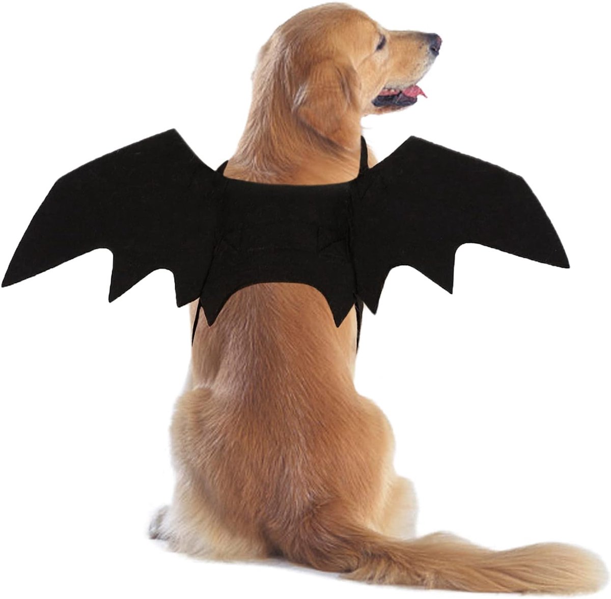 Vleermuiskostuum voor honden, Halloween, huisdierkostuum, vleermuisvleugels, cosplay, hondenkostuum, kattenkostuum voor feestjes