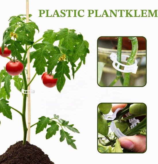 250 Stuks Tuinklemmen voor Tomaten, Planten en Wijnranken - Transparante Plastic Ring en Steunclips voor Planten — afbeelding 3