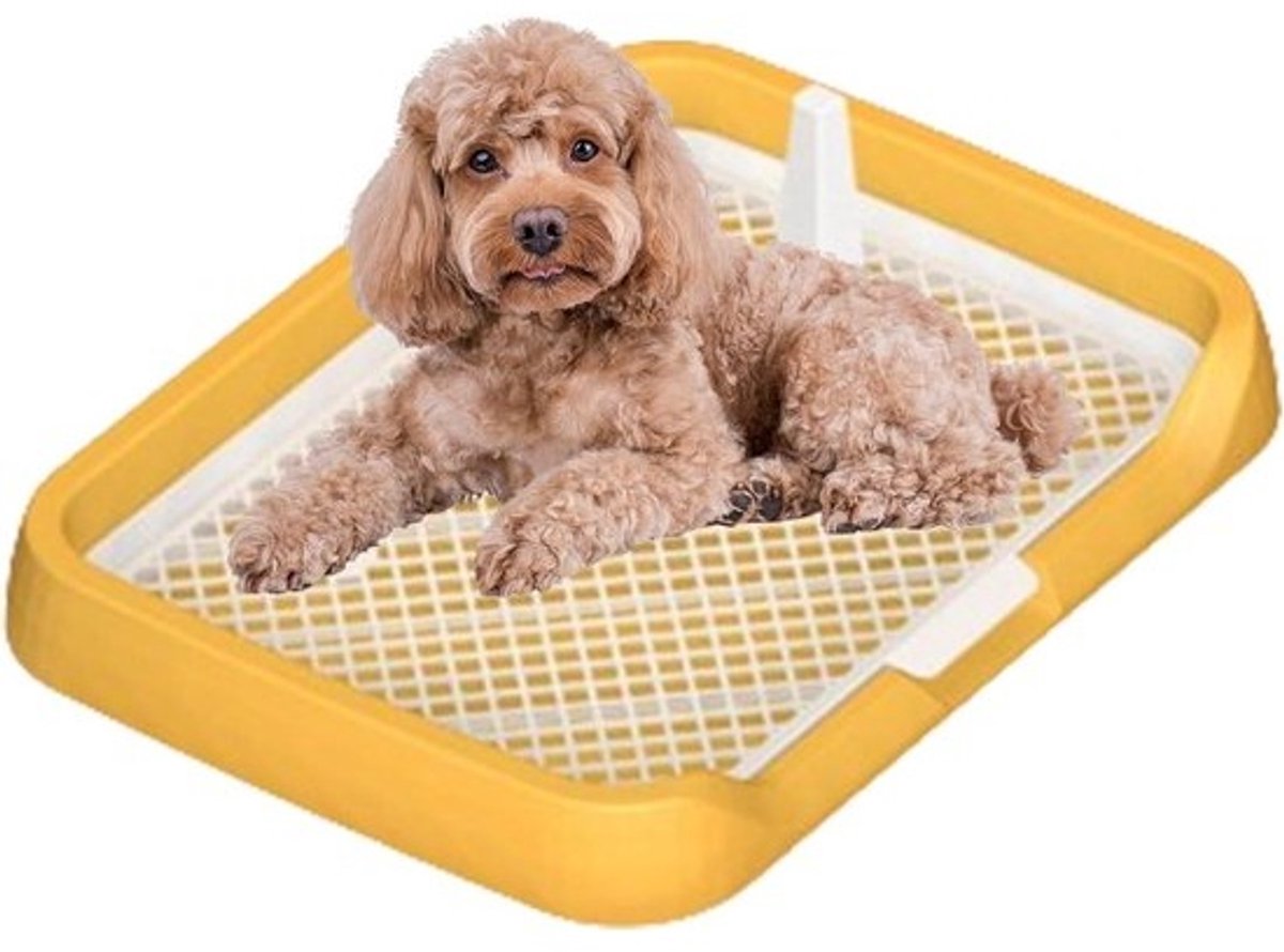 Honden Toilet Binnen - Hondentoilet Plat Potje - Zindelijkheidstraining Hond - Met Gaasrooster - 47x36x5.5 cm - Geel
