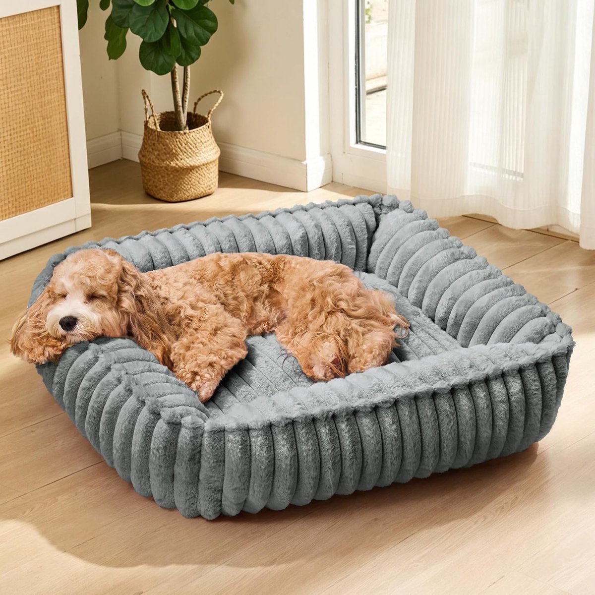 hondenbed voor kleine en middelgrote honden 60x50cm, Rechthoekige Orthopedische Zachte Huisdierbank, Anti-Angst Gezellige Wasbare Huisdierbank met Anti-Slip Bodem, Sage Grijs