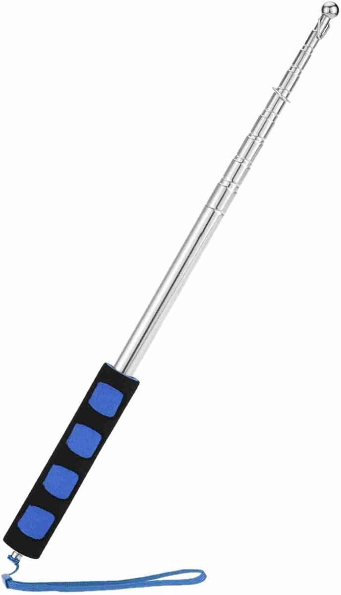 Dailygoods- Vlaggenmast 2 meter - Telescopische Vlaggenhouder - Roestvrij Staal - Ergonomische Handgreep - Inclusief Ringen - Multifunctioneel Gebruik