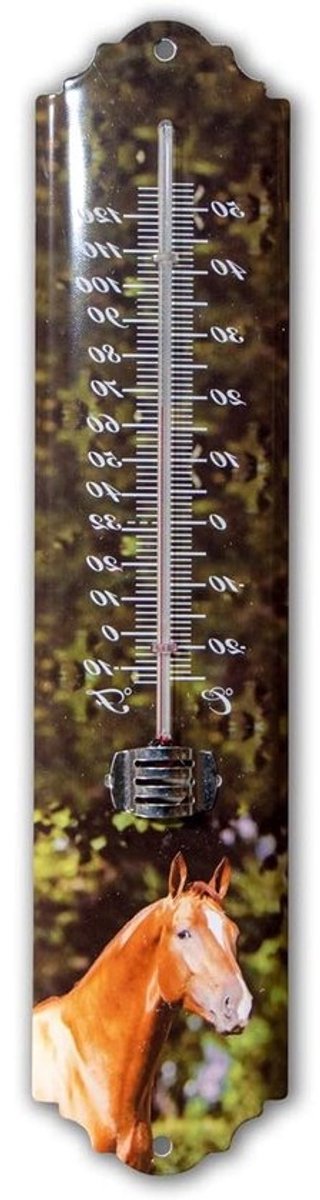 Dierenthermometer - Buitenthermometer voor paarden - Temperatuur meten - Groen gelakt ijzer - 295 cm hoog - Groen