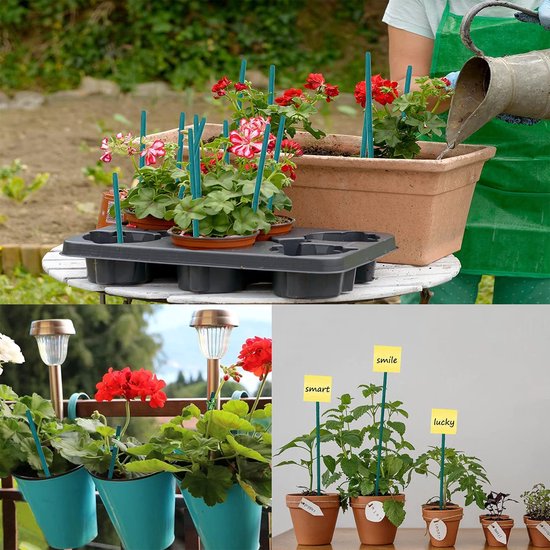 Pflantensteunen 25 stuks 30 cm met 50 binders voor klimplanten — afbeelding 2
